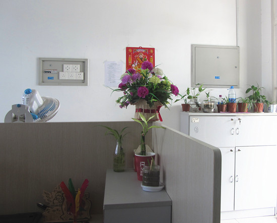 绿意盎然工作一角